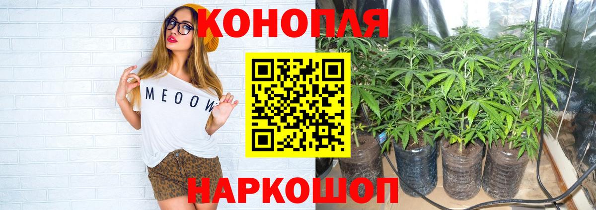Шишки марихуана Amnesia  Марихуана план  Вход с VPN  МАРИХУАНА тримм  Конопля гибрид  Красноуфимск 